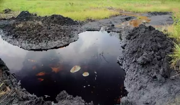 Oil Spill Kills 15 In Rivers State